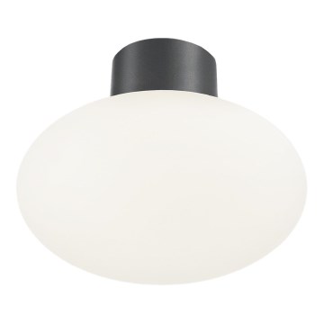 Ideal Lux - Āra griestu gaismeklis CLIO 1xE27/42W/230V IP44 antracīts