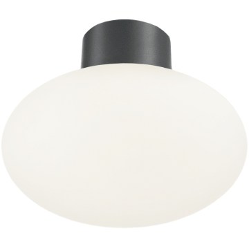 Ideal Lux - Āra griestu gaismeklis CLIO 1xE27/42W/230V Ø 28 cm IP44 antracīts