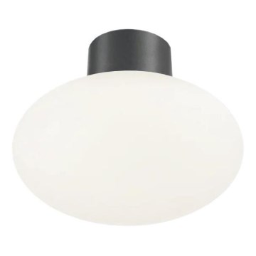 Ideal Lux - Āra griestu lampa CLIO 1xE27/42W/230V IP44 antracīta