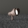 Ideal Lux - Āra lampa TERRA 1xGU10/28W/230V IP65 brūna