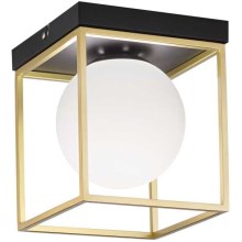Ideal Lux - Griestu lampa LINGOTTO 1xE14/40W/230V