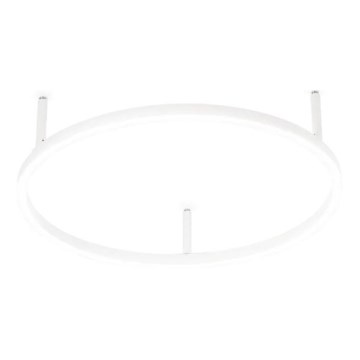 Ideal Lux - LED griestu gaismeklis ORACLE SLIM LED/29W/230V 4000K CRI 90 Ø 50 cm balts