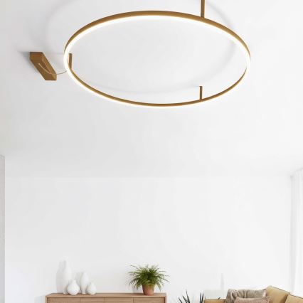 Ideal Lux - LED griestu gaismeklis ORACLE SLIM LED/37W/230V 3000K CRI 90 Ø 70 cm zelta