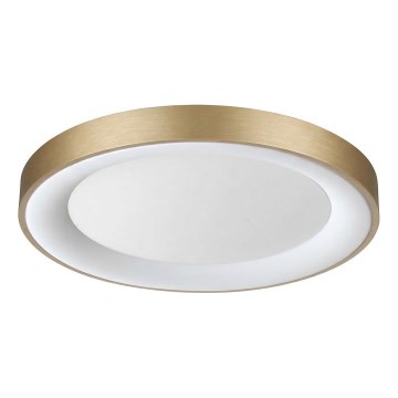 Ideal Lux - LED griestu gaismeklis PLANET LED/25W/230V CRI 90 Ø 50 cm misiņš