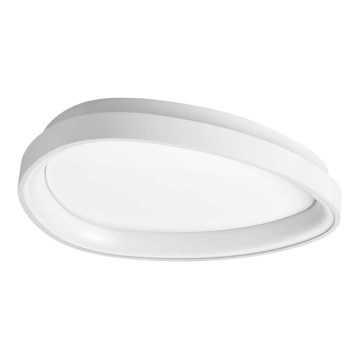 Ideal Lux - LED Griestu lampa GEMINI LED/23W/230V d. 42,5 cm CRI 90 balta