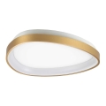 Ideal Lux - LED Griestu lampa GEMINI LED/23W/230V d. 42,5 cm CRI 90 zelta