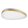 Ideal Lux - LED Griestu lampa GEMINI LED/30W/230V d. 61 cm CRI 90 zelta