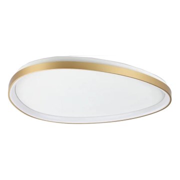 Ideal Lux - LED Griestu lampa GEMINI LED/42W/230V d. 81 cm CRI 90 zelta