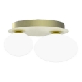 Ideal Lux - LED Griestu lampa NINFEA 2xG9/3W/230V zelta