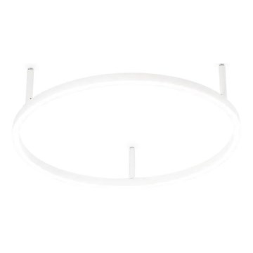 Ideal Lux - LED Griestu lampa ORACLE SLIM LED/29W/230V 2700K d. 50 cm balta