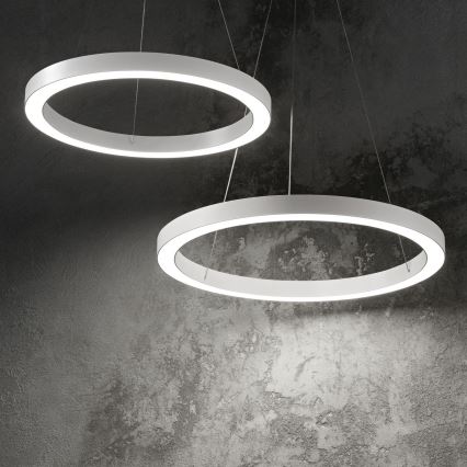 Ideal Lux - LED Lustra ar auklu ORACLE LED/35W/230V 3000K d. 70 cm CRI 90 balta