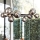 Ideal Lux - LED Lustra ar auklu PERLAGE 11xG9/3W/230V d. 73 cm melna/dūmakains