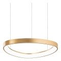 Ideal Lux - LED lustra uz troses GEMINI LED/36W/230V 2700K Ø 42,5 cm CRI 90 misiņš