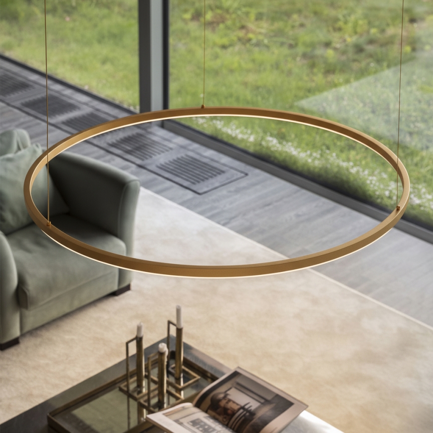 Ideal Lux - LED lustra uz troses ORACLE SLIM LED/29W/230V 3000K CRI 90 Ø 50 cm zelta