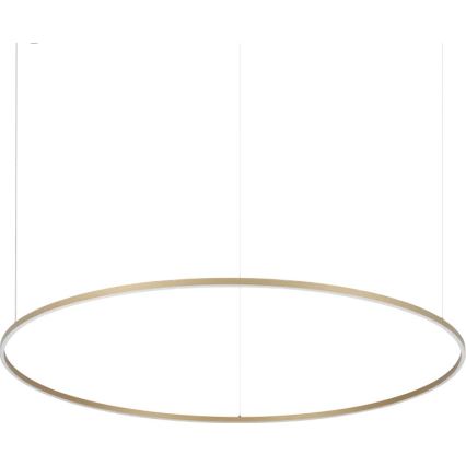 Ideal Lux - ORACLE SLIM piekaramā LED lustra uz troses LED/81W/230V 3000K CRI 90 Ø 150 cm zelta
