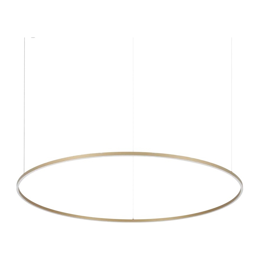 Ideal Lux - ORACLE SLIM piekaramā LED lustra uz troses LED/81W/230V 3000K CRI 90 Ø 150 cm zelta