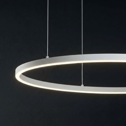 Ideal Lux - LED regulējamā lustra uz troses ORACLE SLIM LED/40W/230V 3000K CRI 90 Ø 70 cm balta