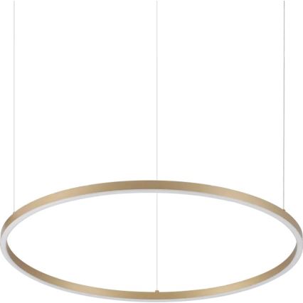 Ideal Lux - ORACLE SLIM LED lustra uz troses, LED/37W/230V, 3000K, CRI 90, Ø 70 cm, zeltaina