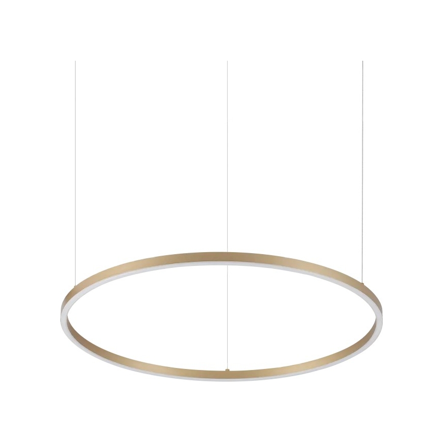Ideal Lux - ORACLE SLIM LED lustra uz troses, LED/37W/230V, 3000K, CRI 90, Ø 70 cm, zeltaina