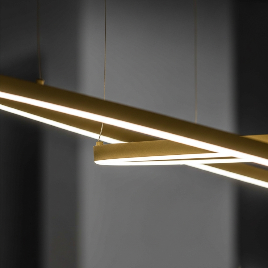 Ideal Lux - ORACLE SLIM LED lustra uz troses, LED/37W/230V, 3000K, CRI 90, Ø 70 cm, zeltaina
