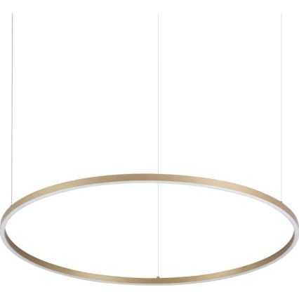 Ideal Lux - LED lustra uz troses ORACLE SLIM LED/53W/230V 3000K CRI 90 Ø 90 cm zelta