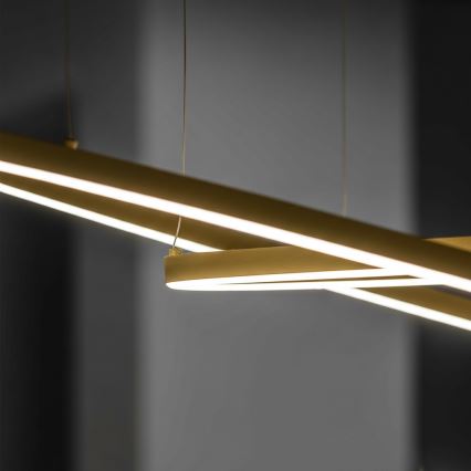 Ideal Lux - LED lustra uz troses ORACLE SLIM LED/53W/230V 3000K CRI 90 Ø 90 cm zelta