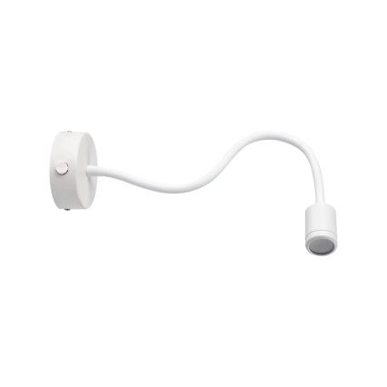 Ideal Lux - LED Pielāgojama lampiņa LED/3W/230V balta