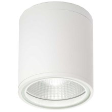 Ideal Lux - Vannas istabas lampa 1xGU10/28W/230V IP44