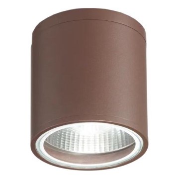 Ideal Lux - Vannas istabas starmetis GUN 1xGU10/28W/230V IP55 brūna