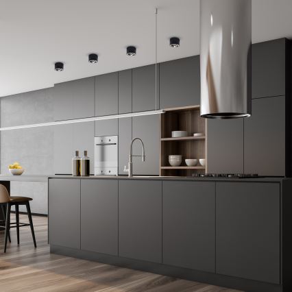 Iebūvējams gaismeklis REDONDO 1xAR111 - GU10/12W/230V