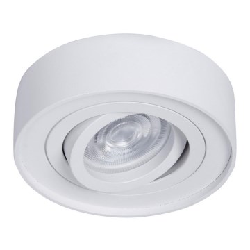 Iegremdējams starmetis NUSA 1xGU5,3/MR16/50W/12V apaļa balta