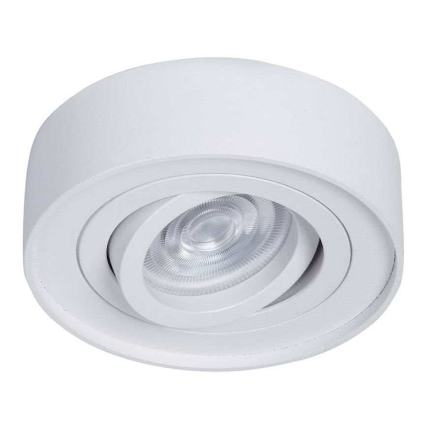 Iegremdējams starmetis NUSA 1xGU5,3/MR16/50W/12V apaļa balta
