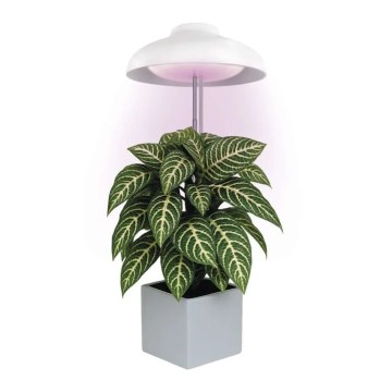 Iekštelpju LED lampa augu audzēšanai GROW LED/5W/5V