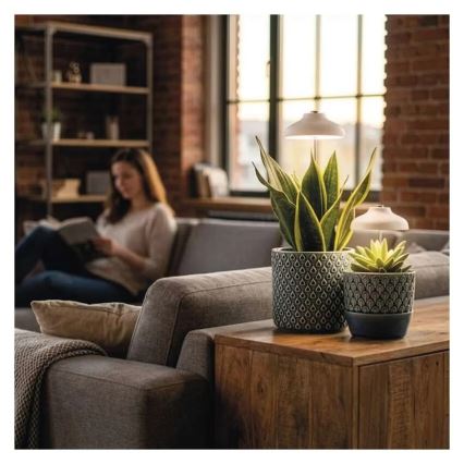 Iekštelpju LED lampa augu audzēšanai GROW LED/5W/5V