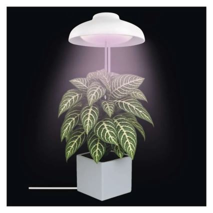 Iekštelpju LED lampa augu audzēšanai GROW LED/5W/5V