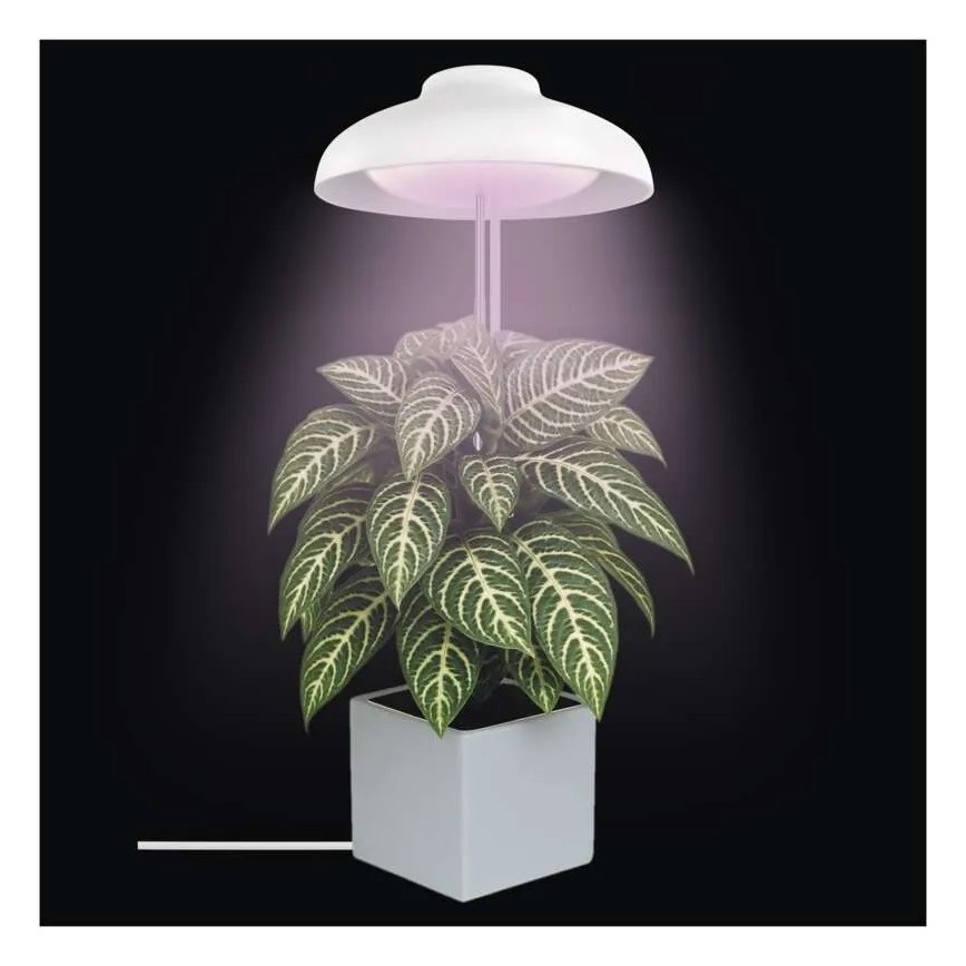 Iekštelpju LED lampa augu audzēšanai GROW LED/5W/5V