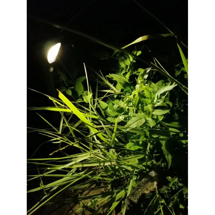 LED Saules enerģijas lampa ar sensoru LED/1W/3,7V 6000K IP65