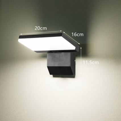 LED āra sienas gaismeklis MODERN LED/18W/230V IP65