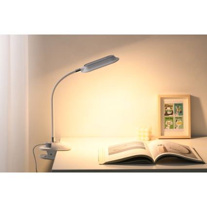 LED+CCT Regulējama galda lampa ar skavu CLIP LED/7,5W/230V 3000/4200/5000K balta