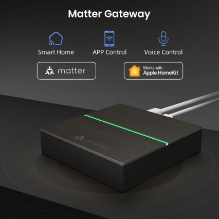 Immax NEO 07117-5 - MATTER BRIDGE viedais Zigbee 3.0 230V Wi-Fi