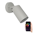 Immax NEO 07118B - 2-LED RGB Aptumšojams āra sienas starmetis PARED 1xGU10/5,5W/230V IP65 Tuya