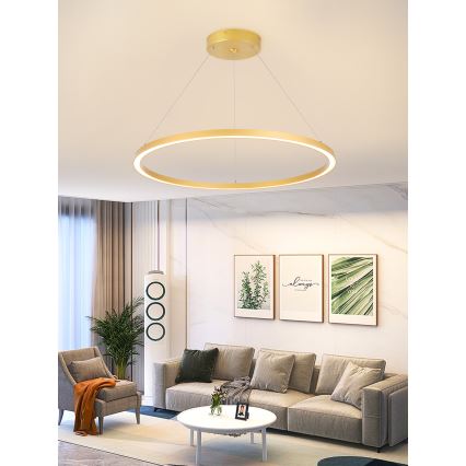 Immax NEO 07159-G80 - LED Aptumšojama lustra ar auklu FINO LED/60W/230V Tuya zelta + tālvadības pults