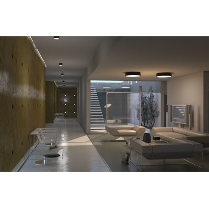 Immax NEO 07200L - LED Aptumšojama griestu lampa RONDATE LED/18W/230V 3000-6000K d. 25 cm melna Tuya + tālvadības pults
