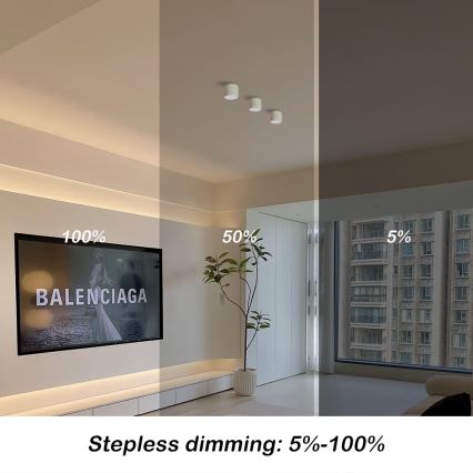 Immax NEO 07241L - LED regulējams griestu gaismeklis RONDATE LED/18W/230V 11,5cm Wi-Fi Tuya