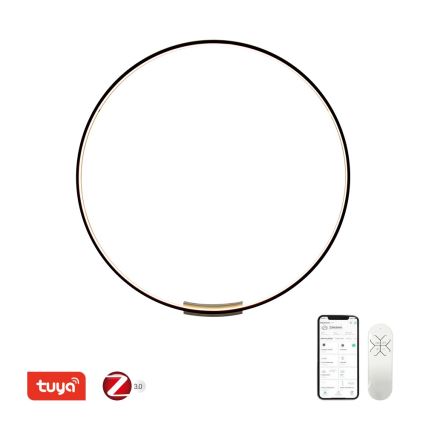 Immax NEO 07245-120 - LED Aptumšojama sienas lampa FINO LED/70W/230V 120 cm Tuya + tālvadības pults