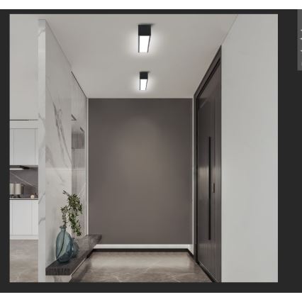 Immax NEO 07254L - LED Aptumšojama griestu lampa NEO LITE LUNGO LED/20W/230V 3000-6000K Wi-Fi Tuya melna + tālvadības pults