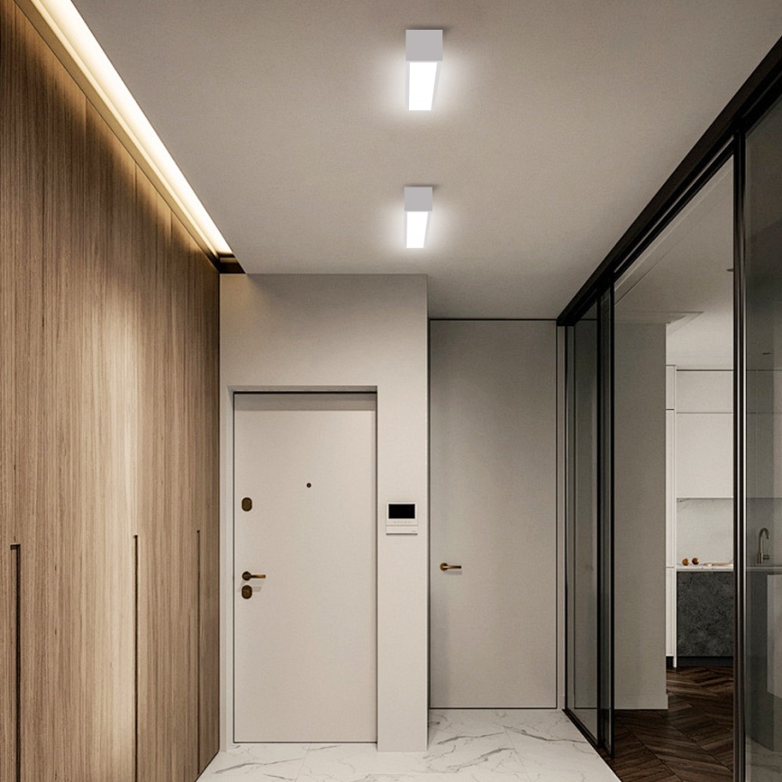 Immax NEO 07257L - LED Aptumšojama griestu lampa NEO LITE LUNGO LED/20W/230V 3000-6000K Wi-Fi Tuya balta + tālvadības pults