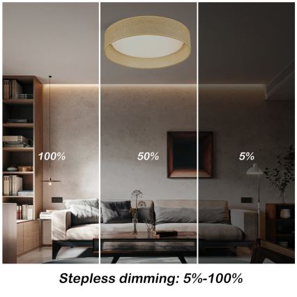 Immax NEO 07289L - LED+CCT regulējams griestu gaismeklis LONA LED/36W/230V 3000-6000K Wi-Fi Tuya Ø 45,5 cm + tālvadības pults