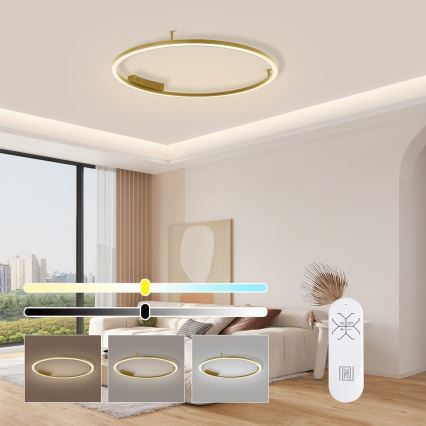 Immax NEO 07291-80G - LED+CCT regulējama griestu lampa FINO, LED/55W/230V, 2700–6500K, Tuya, Ø 80 cm + tālvadības pults