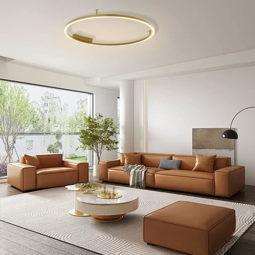 Immax NEO 07291-80G - LED+CCT regulējama griestu lampa FINO, LED/55W/230V, 2700–6500K, Tuya, Ø 80 cm + tālvadības pults